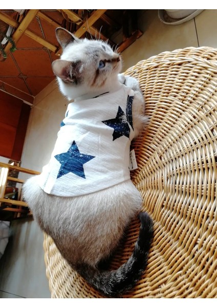 Küçük Yıldız Pamuklu Yelek Evcil Hayvan Giysileri (Yurt Dışından) modelleri