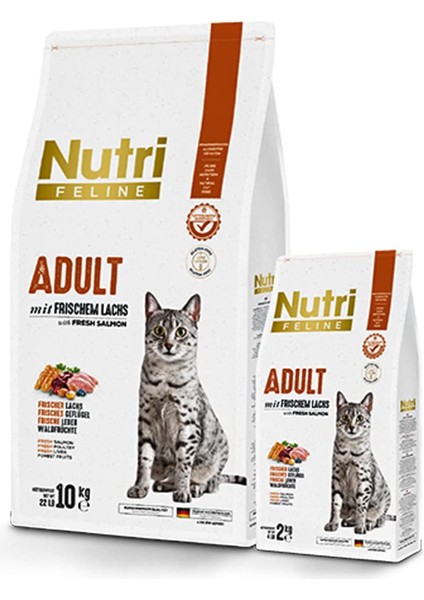 Adult Tavuk Etli 10KG Yetişkin Kedi Maması