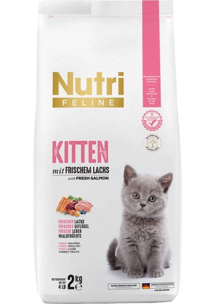 Kitten Somon Etli 2kg Yavru Kedi Maması Kürek Hediyeli fiyatları