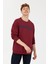Erkek Vişne Sweatshirt 50257196-VR223 3