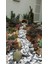 Beyaz Dolomit Taş 25 kg 2,5-4 cm Dere Çakıl Taşı Bahçe Süs Taşı Saksı Teraryum Taşı Akvaryum Taşı 2