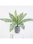 2pcs Yapay Palmiye Yaprakları - 56CM - Koyu Yeşil Sahte Fern Bitki Cycas 4