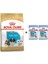 Shih Tzu Puppy Yavru Köpek Maması 1.5 kg + 2 Adet Yaş Mama Hediye 1