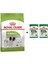 Adult x Small Köpek Maması 1,5 kg + 2 Adet Yaş Mama Hediye 1