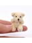 1.97INCH Mini Ortak Ayı ve Peluş: 12 Bebek Evi Dekoru (Yurt Dışından) 3