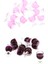 20PCS Minyatür İçecek Bardakları 1/12 Bebek Ev Mobilyaları Için Goblet Mutfak(Yurt Dışından) 1