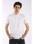 3717 Basic Battal Polo Yaka Erkek Tshirt 2