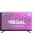Regal 42R6055F Tv Ekran Koruyucu - Regal 42" Inç Tv Ekran Koruyucu Şeffaf Paneli 2