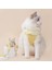 Dantel Kedi Koşum Kedi Tasması 5
