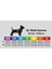 Siyah Air-Mesh Göğüs Tasması Kedi Köpek Göğüs Tasması 3xs 5