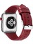Apple Watch 42 mm Için Renkli Suni Deri Kayış-Kordon 2