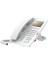 H5 Renkli Ekran Ip Telefon Poe (Beyaz) 2