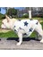 Küçük Yıldız Pamuklu Yelek Evcil Hayvan Giysileri (Yurt Dışından) 2