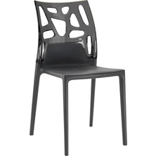 Papatya Ego Rock Sandalye Füme Sırt Antrasit Oturak