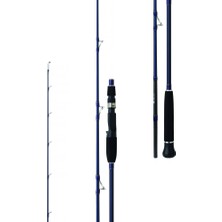 Daiwa Exceler Oceano 193cm MAX180 Olta Kamışı (Tetikli)