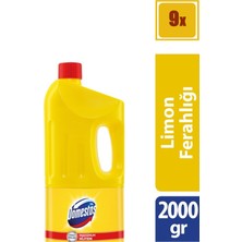 Domestos Çamaşır Suyu Limon Ferahlığı 2 lt 9'Lu Set