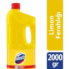 Domestos Çamaşır Suyu Limon Ferahlığı 2 lt 9'Lu Set