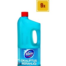 Domestos Çamaşır Suyu Okaliptus Ferahlığı 2 lt 9'Lu Set