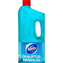 Domestos Çamaşır Suyu Okaliptus Ferahlığı 2 lt 9'Lu Set