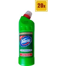 Domestos Çamaşır Suyu Çam Ferahlığı 810 gr 20'Li Set