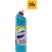 Domestos Yoğun Kıvamlı Çamaşır Suyu Okaliptus Ferahlığı 810 gr 20'Li Set