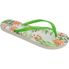 Brasileras Printed Kadın Terlik 35-42