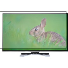 Nunamax  Vestel 47Pf9090 Uyumlu Tv Ekran Koruyucu