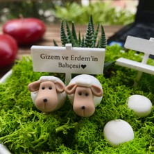 Paspasın Bahçeleri Kişiye Özel My Love Canlı Bahçe