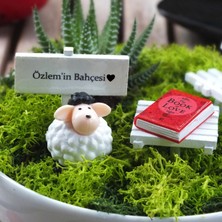 Minyatür Kuzulu Teraryum Hediye - Luna Koleksiyonu