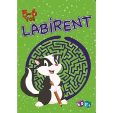 Labirent 5-6 Yaş