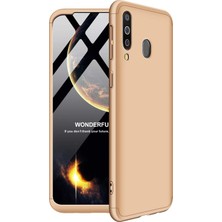 Microsonic Samsung Galaxy M30 Kılıf Double Dip 360 Protective Gold