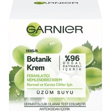 Garnier Botanik Ferahlatıcı Antioksidan Krem