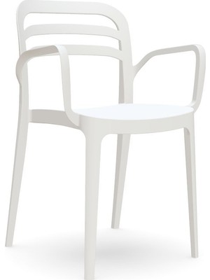 Novussi Aspendos Koltuk 6 Adet