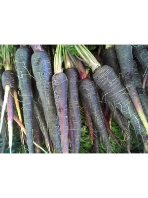 Fide Sepeti Havuç Siyah Tohumu 10gr'lık 1 Paket