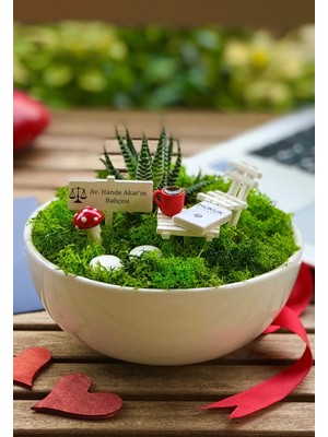 Avukata Hediye Teraryum - Luna Koleksiyonu