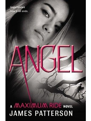 Angel (Maximum Ride 7)