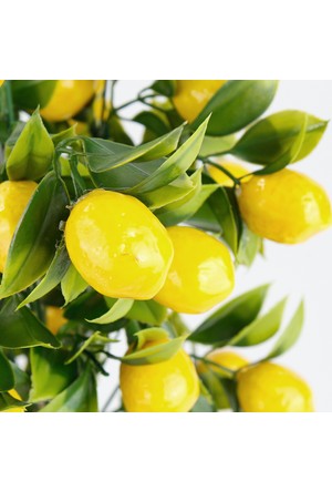 Porselen Saksida Limon Agaci Ciceksepeti