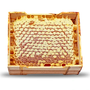 Hakiki Göle Petek Balı (2000 gr.)