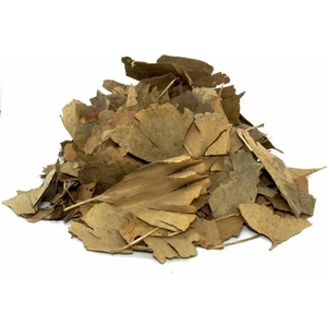 Lokman Aktar Ginkgo Biloba Mabet Ağacı 50 gr