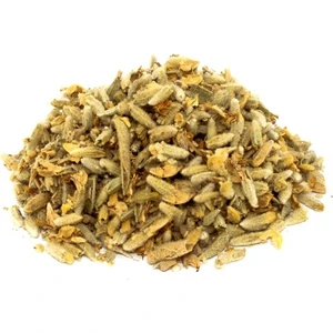 Lokman Aktar Sarı Ballı Baba 50 gr