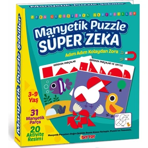 Manyetik Puzzle Süper Zeka