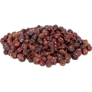 Lokman Aktar  Ardıç Meyvesi Tohumu (Juniperus Communis) 100 gr