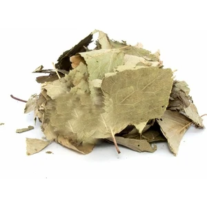 Lokman Aktar  Ayva Yaprağı (Cydonia Vulgaris) 100 gr