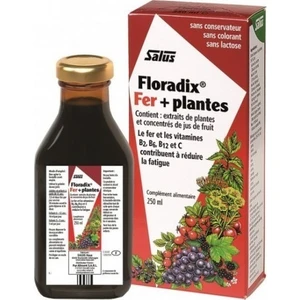Hiperfarma Floradi̇x Demi̇r ve Vi̇tami̇nler İçeren Sivi Takvi̇ye Edi̇ci̇ Gida 250 ml