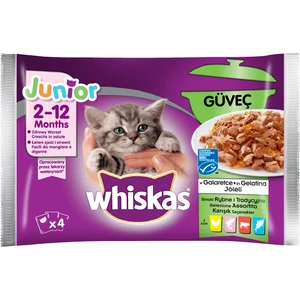 Pure Delight Kümes Hayvanlı Yavru Konserve 4'lü