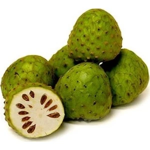 Bahçe Life Annona Cherymoya Sugar Meyvesi̇ Tohumu + Çi̇Mlendi̇Rme Seti̇