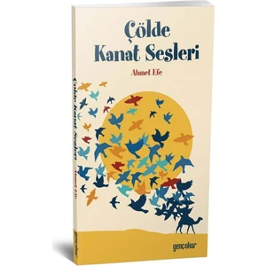Çölde Kanat Sesleri - Ahmet Efe