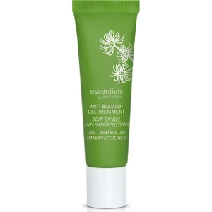 Sivilceler Için Jel Essentials By Artistry™