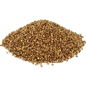 Lokman Aktar   Kişniş Tane (Kinzi) (Coriandrum Sativum) 1 kg