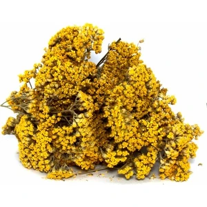 Lokman Aktar   Civan Perçemi (Sarı) 50 gr